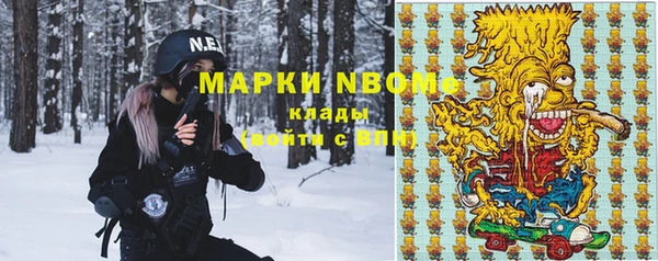 стаф Алзамай