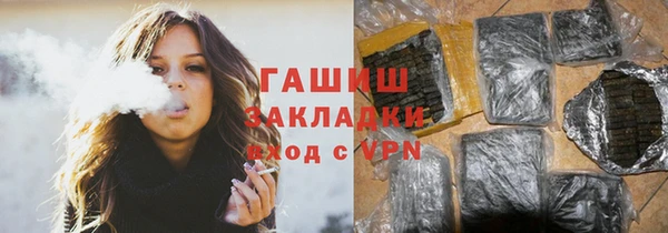 стаф Алзамай
