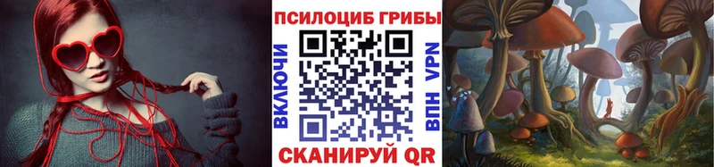 Псилоцибиновые грибы мухоморы  купить наркоту  Дмитровск 