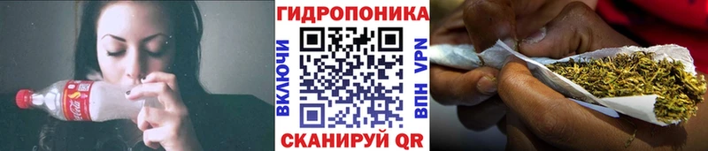 блэк спрут как войти  Дмитровск  сайты даркнета телеграм  Шишки марихуана Ganja 